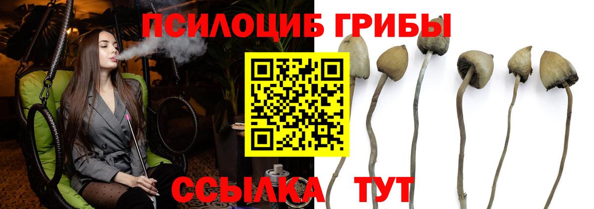 Кыштым  Галлюциногенные грибы мицелий  Вход с VPN 